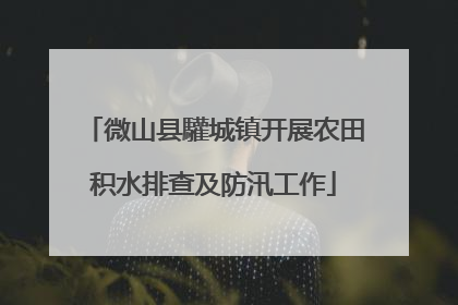 微山县驩城镇开展农田积水排查及防汛工作