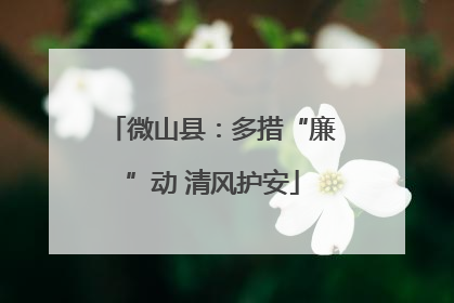 微山县：多措“廉”动 清风护安