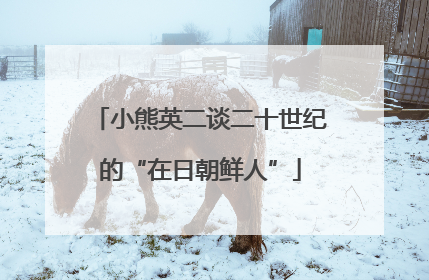 小熊英二谈二十世纪的“在日朝鲜人”
