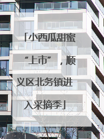 小西瓜甜蜜“上市”，顺义区北务镇进入采摘季