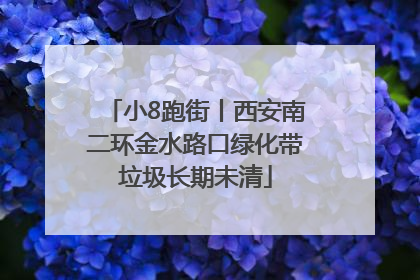 小8跑街丨西安南二环金水路口绿化带垃圾长期未清
