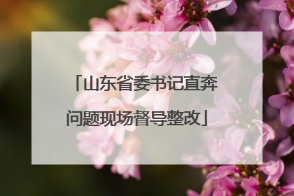 山东省委书记直奔问题现场督导整改
