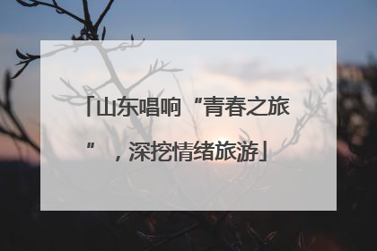 山东唱响“青春之旅”，深挖情绪旅游