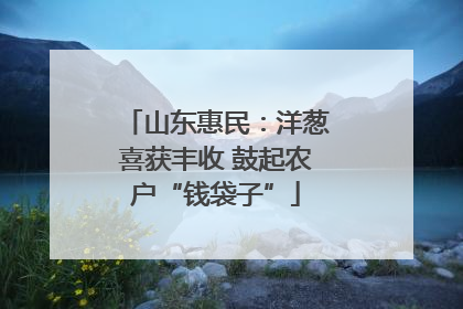 山东惠民：洋葱喜获丰收 鼓起农户“钱袋子”