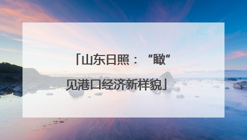 山东日照：“瞰”见港口经济新样貌