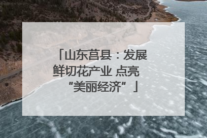 山东莒县：发展鲜切花产业 点亮“美丽经济”