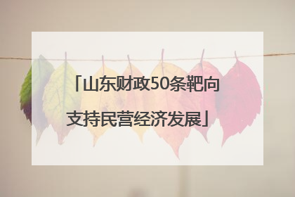 山东财政50条靶向支持民营经济发展