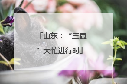山东：“三夏”大忙进行时