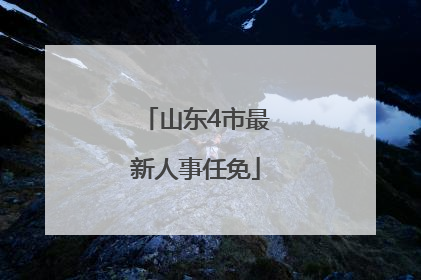 山东4市最新人事任免