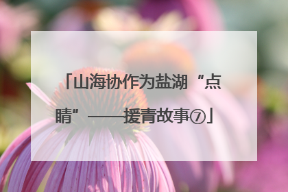 山海协作为盐湖“点睛”——援青故事⑦