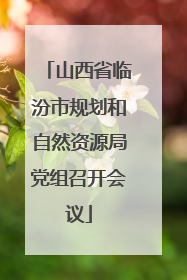 山西省临汾市规划和自然资源局党组召开会议
