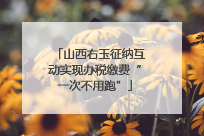 山西右玉征纳互动实现办税缴费“一次不用跑”