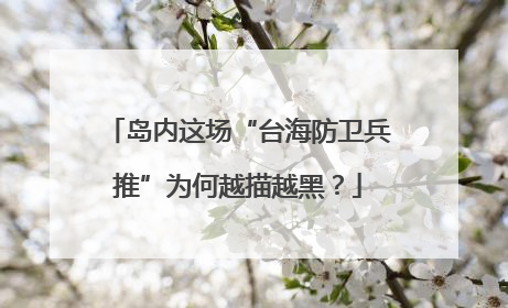 岛内这场“台海防卫兵推”为何越描越黑？