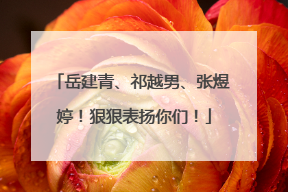 岳建青、祁越男、张煜婷！狠狠表扬你们！