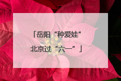 岳阳“种爱娃” 北京过“六一”