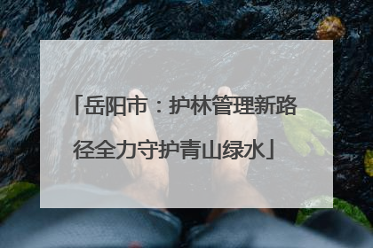 岳阳市：护林管理新路径全力守护青山绿水