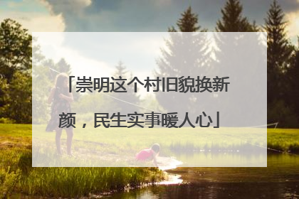 崇明这个村旧貌换新颜，民生实事暖人心