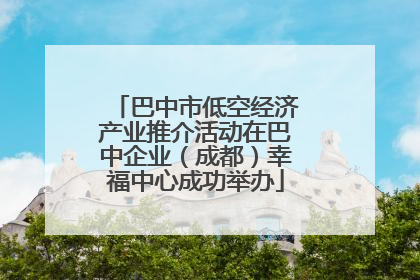 巴中市低空经济产业推介活动在巴中企业（成都）幸福中心成功举办
