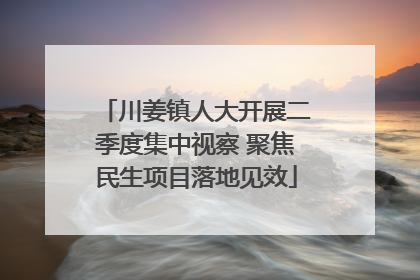 川姜镇人大开展二季度集中视察 聚焦民生项目落地见效