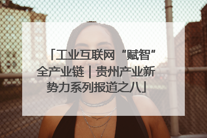 工业互联网“赋智”全产业链｜贵州产业新势力系列报道之八