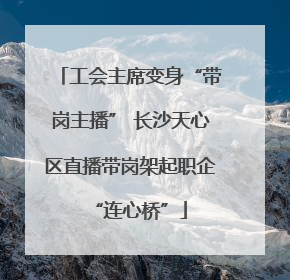 工会主席变身“带岗主播” 长沙天心区直播带岗架起职企“连心桥”