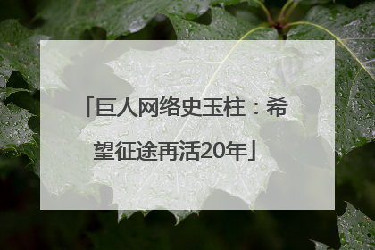 巨人网络史玉柱：希望征途再活20年