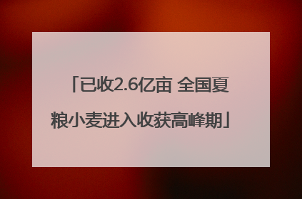 已收2.6亿亩 全国夏粮小麦进入收获高峰期