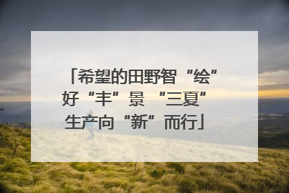 希望的田野智“绘”好“丰”景 “三夏”生产向“新”而行