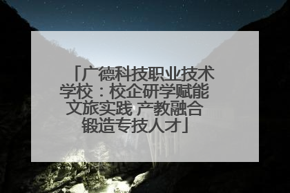 广德科技职业技术学校：校企研学赋能文旅实践 产教融合锻造专技人才