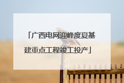 广西电网迎峰度夏基建重点工程竣工投产