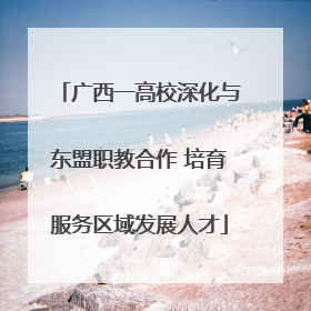 广西一高校深化与东盟职教合作 培育服务区域发展人才