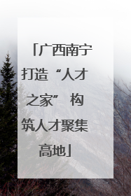 广西南宁打造“人才之家” 构筑人才聚集高地