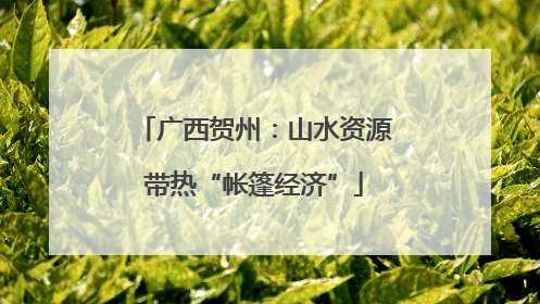 广西贺州：山水资源带热“帐篷经济”