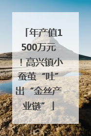 年产值1500万元！高兴镇小蚕茧“吐”出“金丝产业链”