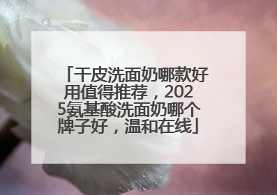 干皮洗面奶哪款好用值得推荐，2025氨基酸洗面奶哪个牌子好，温和在线