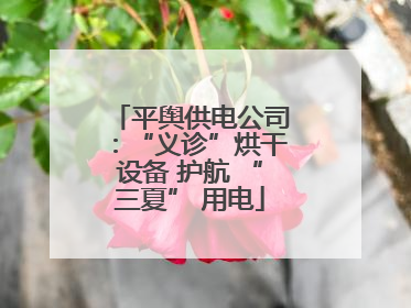 平舆供电公司：“义诊”烘干设备 护航 “三夏” 用电