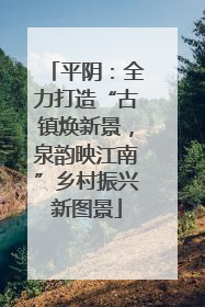 平阴：全力打造“古镇焕新景，泉韵映江南”乡村振兴新图景
