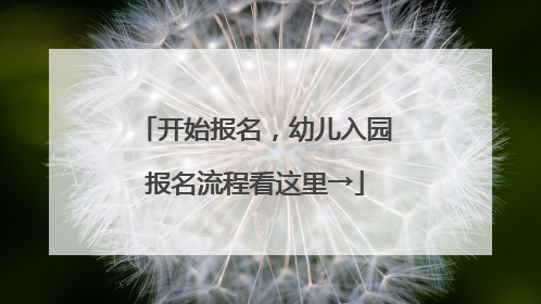 开始报名，幼儿入园报名流程看这里→