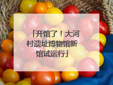 开馆了！大河村遗址博物馆新馆试运行