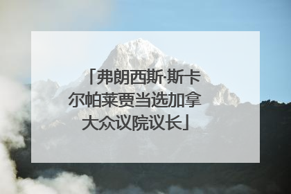 弗朗西斯·斯卡尔帕莱贾当选加拿大众议院议长