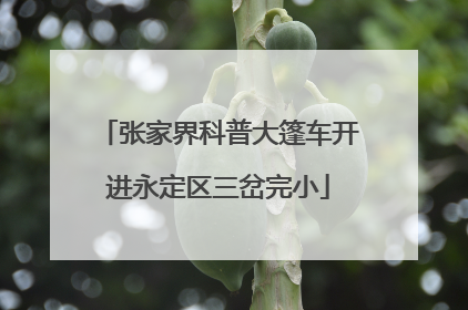 张家界科普大篷车开进永定区三岔完小