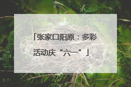 张家口阳原：多彩活动庆“六一”