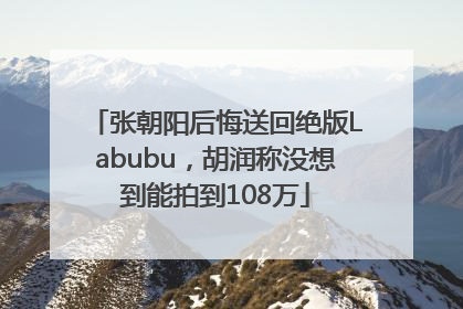 张朝阳后悔送回绝版Labubu，胡润称没想到能拍到108万