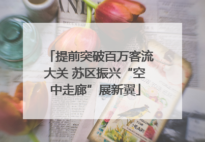 提前突破百万客流大关 苏区振兴“空中走廊”展新翼