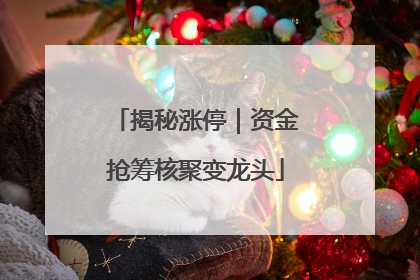 揭秘涨停｜资金抢筹核聚变龙头