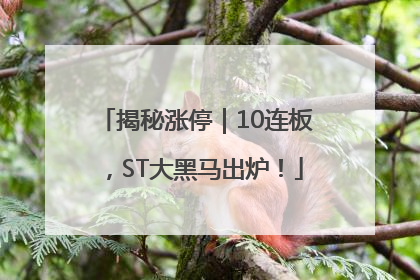 揭秘涨停｜10连板，ST大黑马出炉！