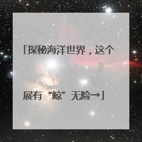 探秘海洋世界，这个展有“鲸”无险→