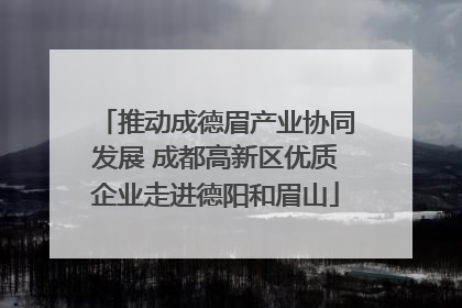 推动成德眉产业协同发展 成都高新区优质企业走进德阳和眉山