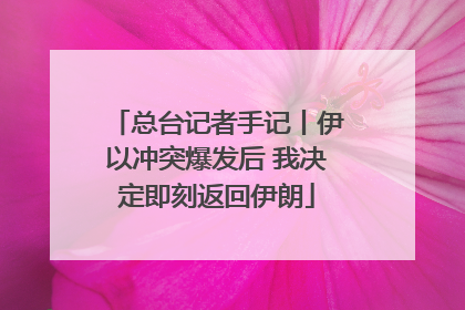 总台记者手记丨伊以冲突爆发后 我决定即刻返回伊朗