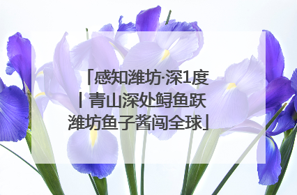 感知潍坊·深1度丨青山深处鲟鱼跃 潍坊鱼子酱闯全球